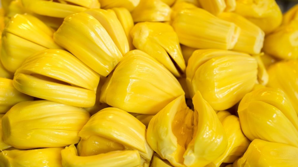 Vibrant yellow Jackfruit
