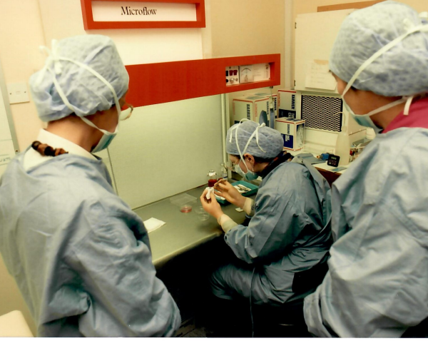 Research workers in the Corneal Transplant Eye Bank
