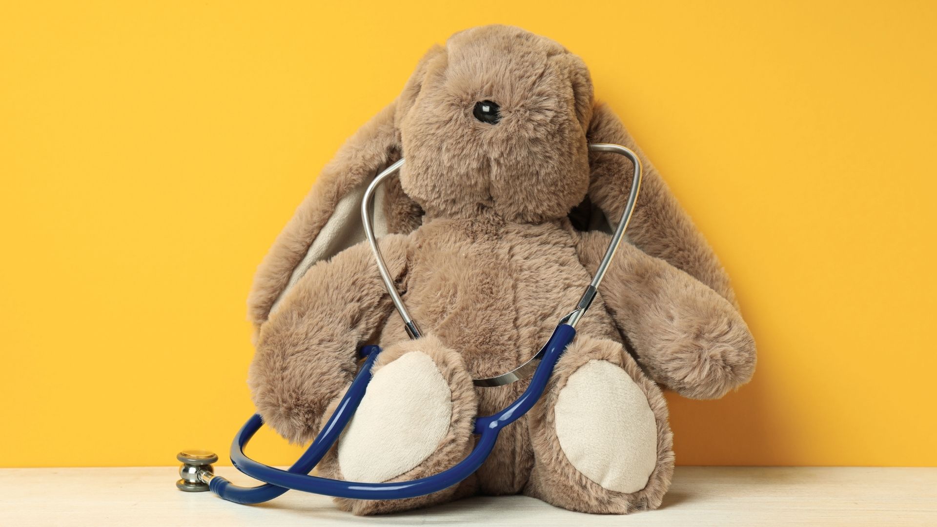 A toy bunny rabbit with a stethoscope in its ears